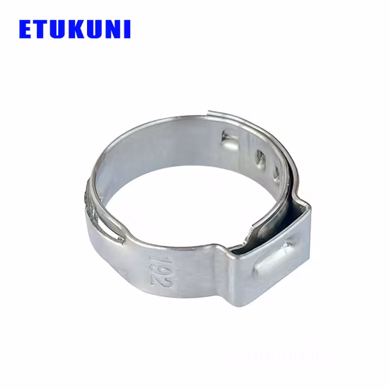 Fornitura di fascetta stringitubo idraulica senza fine a orecchio singolo in acciaio inossidabile