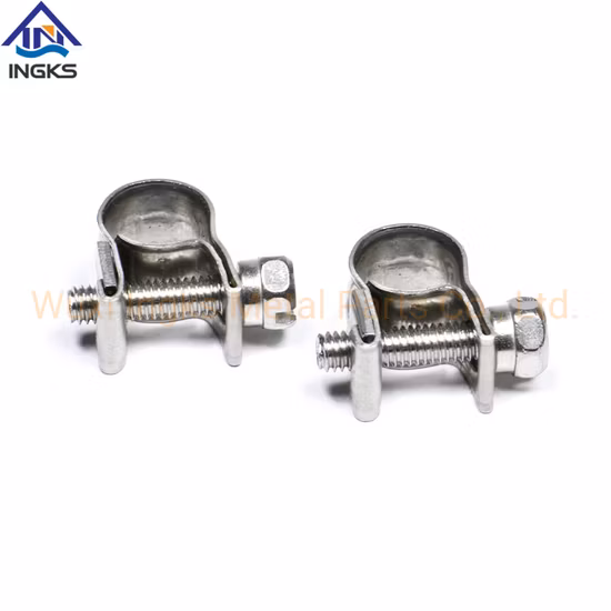 Mini fascetta per tubo flessibile resistente alla corrosione in acciaio inossidabile per linea di carburante